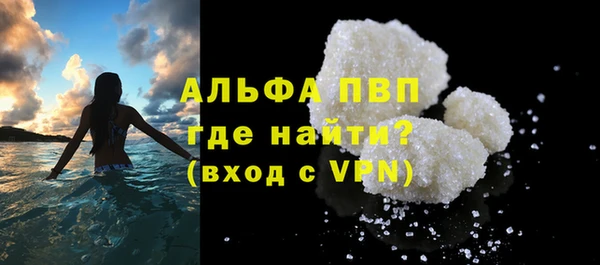 хмурый Белокуриха
