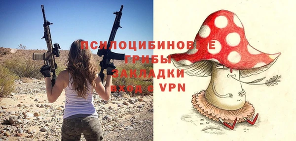 хмурый Белокуриха