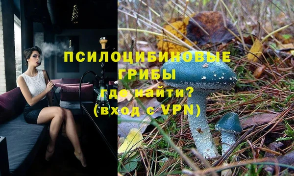 мяу мяу мука Тихорецк