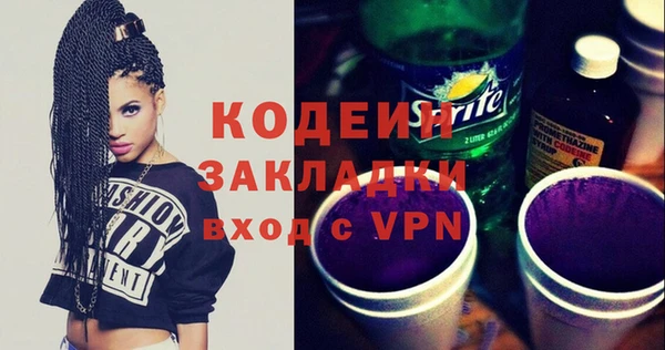 хмурый Белокуриха